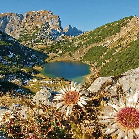 Schwaiger Otel Breitenbach am Inn Dış mekan fotoğraf